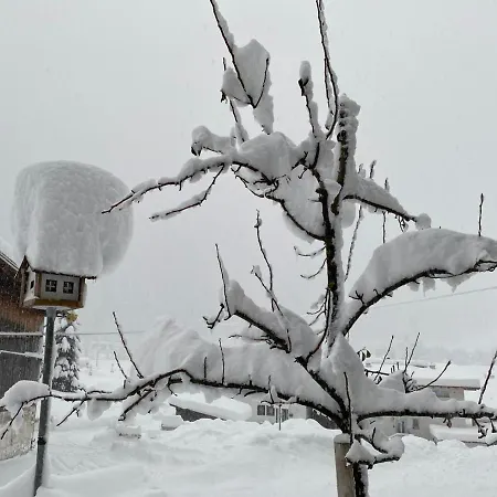 Lejlighed Haus Fischer *