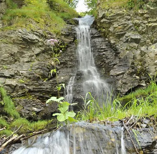 Haus Fischer * بيتنيو آم أرلبرغ